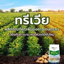ทรีเวีย100G*100